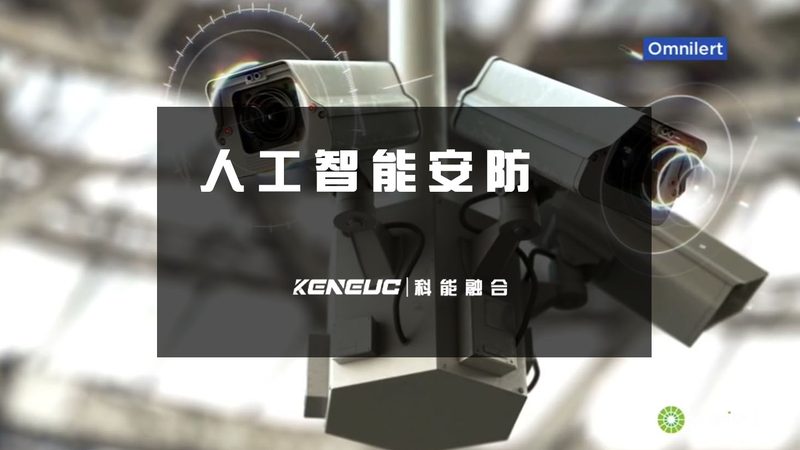 监控维保资质挂靠：价格背后的考量因素**